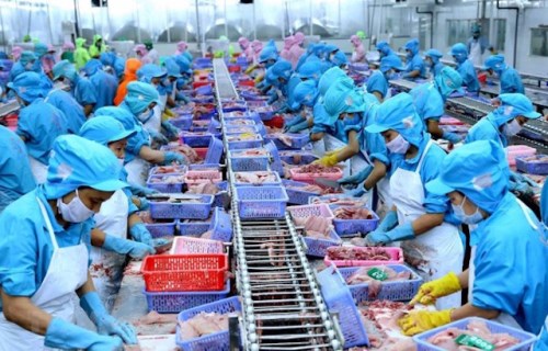 Xuất khẩu thủy sản: Biến thách thức thành cơ hội